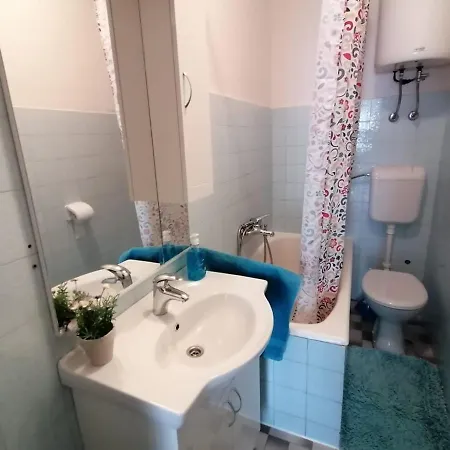 Apartment Gojak *