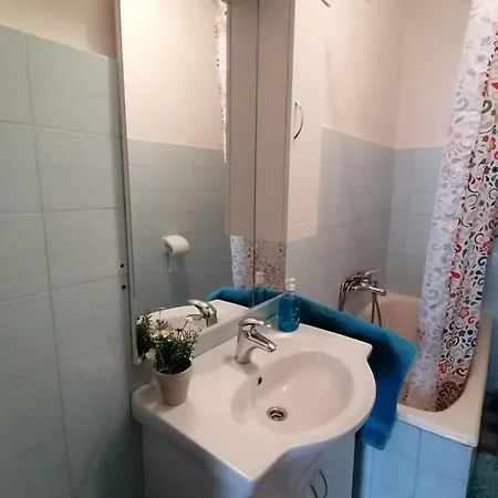 Apartment Gojak *