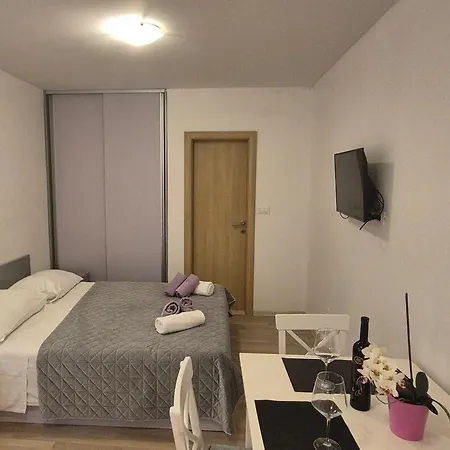 Apartment Gojak *