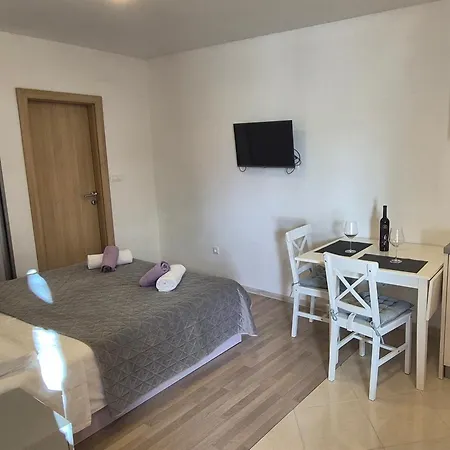 Apartment Gojak *
